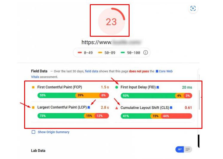 Image of Screenshot of Google’s Core Web Vitals report from PageSpeed Insights